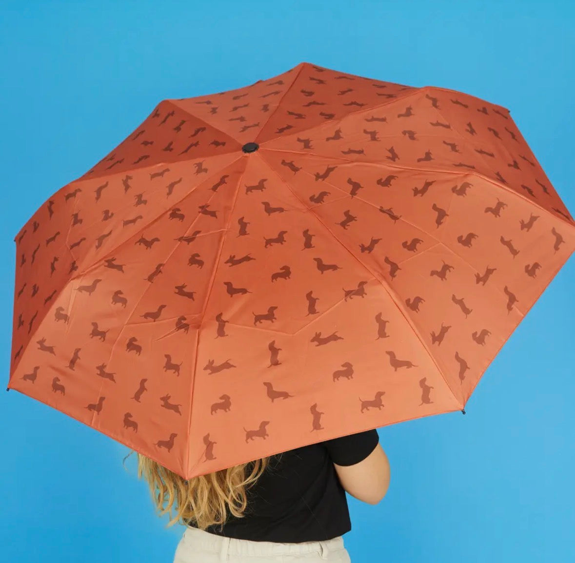 Brown Dachshund Umbrella