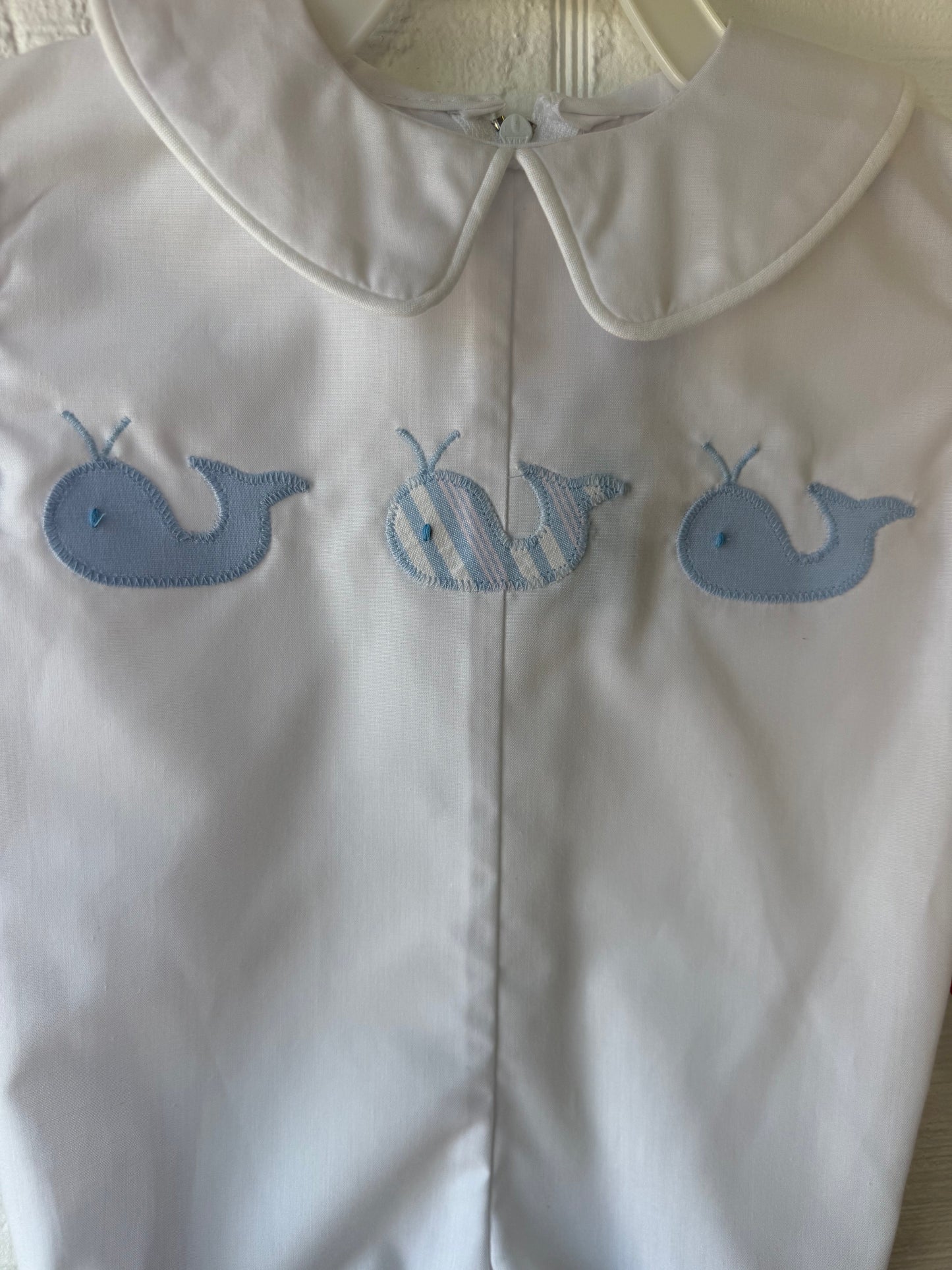 White Whale Bubble
