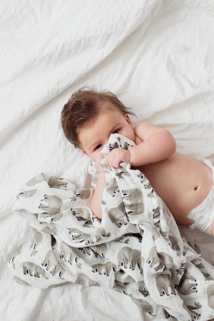 CK-Elephant Swaddle Blanket