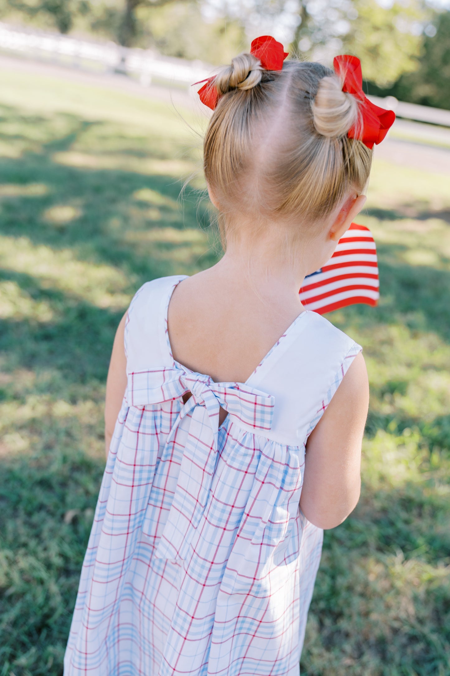 Americana Dress by the Proper Peony