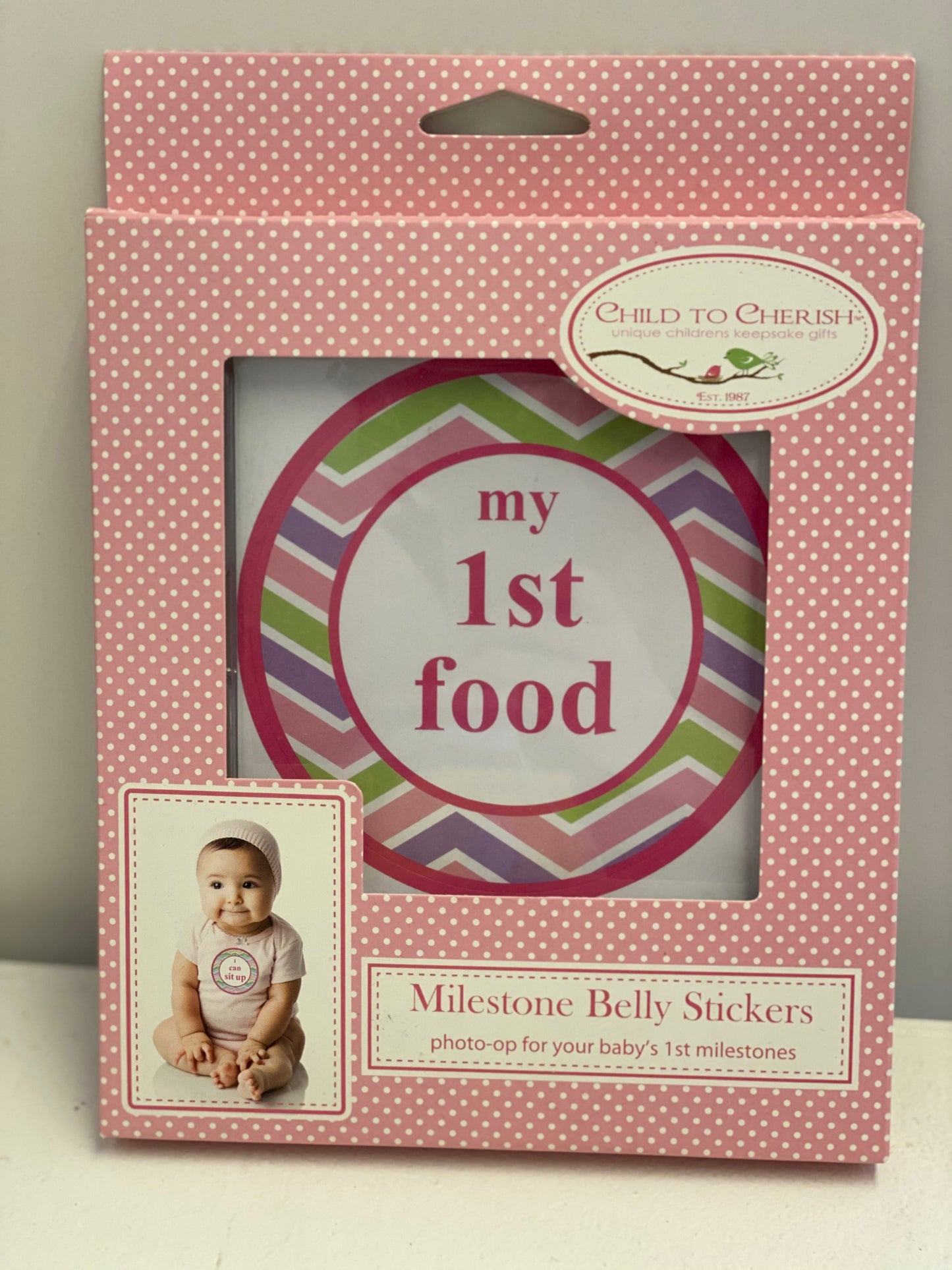 Milestone Moments Belly Stickers -girl