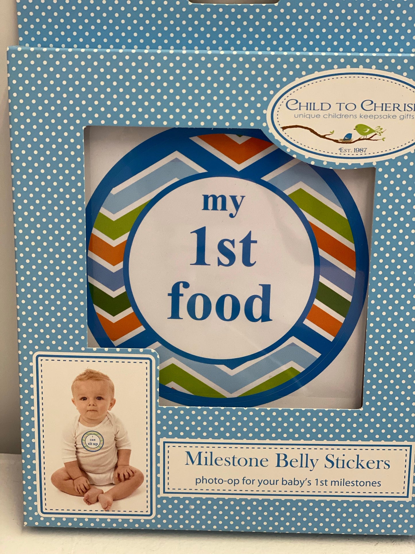 Milestone Moments Belly Stickers -boy
