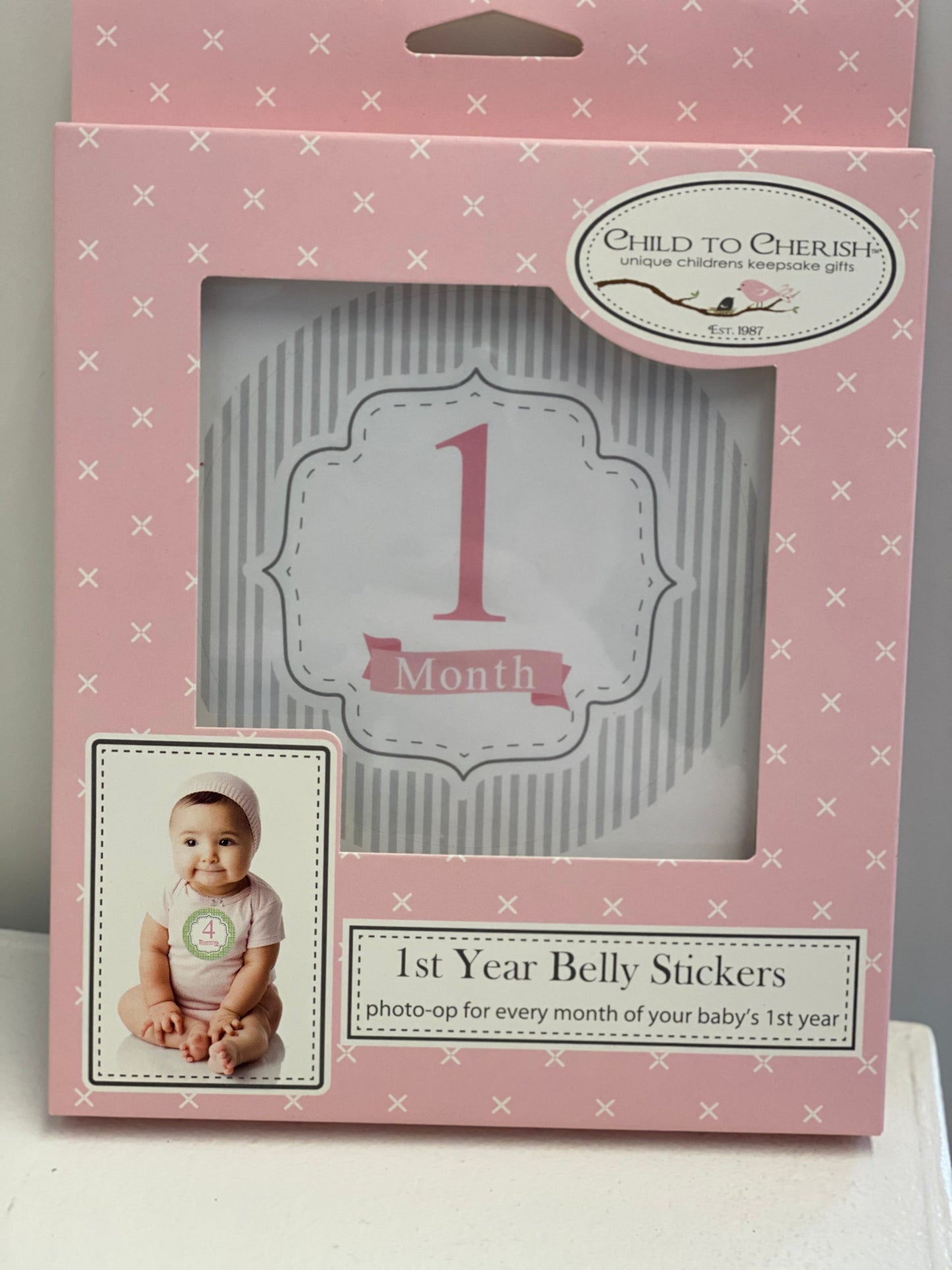 Monthly Milestone Belly Sticker-girl